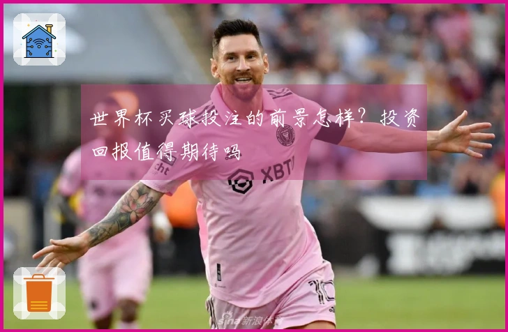 世界杯买球投注的前景怎样？投资回报值得期待吗