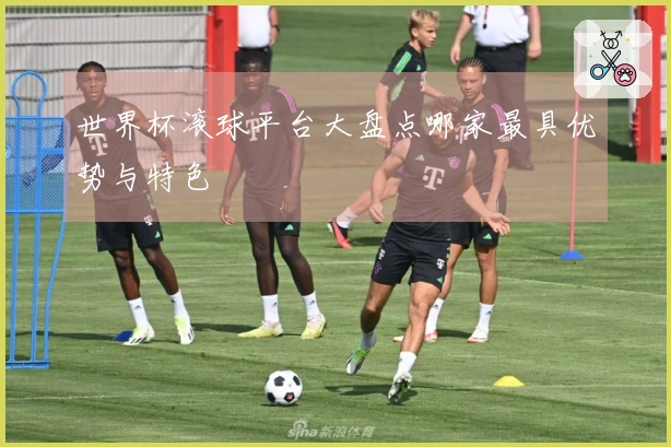 世界杯滚球平台大盘点哪家最具优势与特色