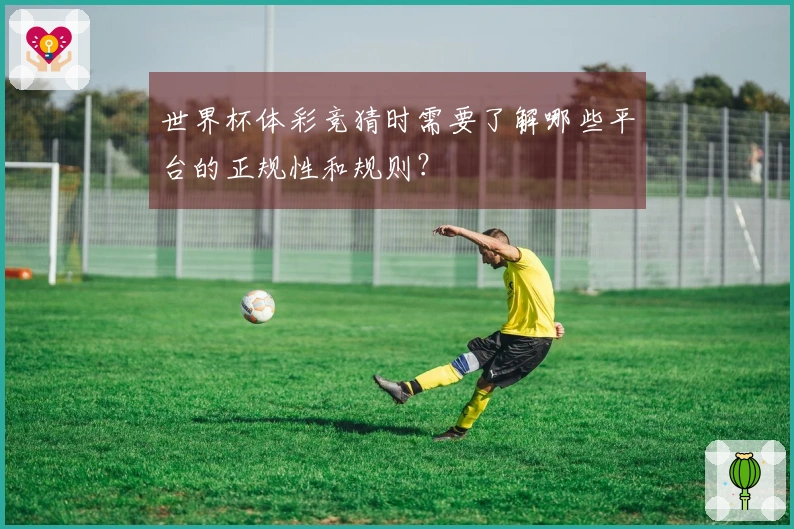 世界杯体彩竞猜时需要了解哪些平台的正规性和规则？