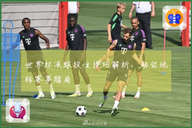 世界杯滚球投注技巧解析，助你玩转赛事赌局