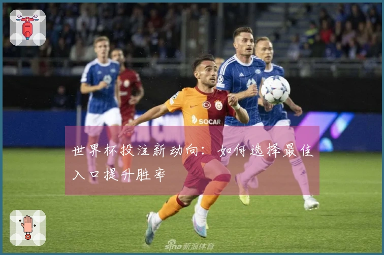 世界杯投注新动向：如何选择最佳入口提升胜率