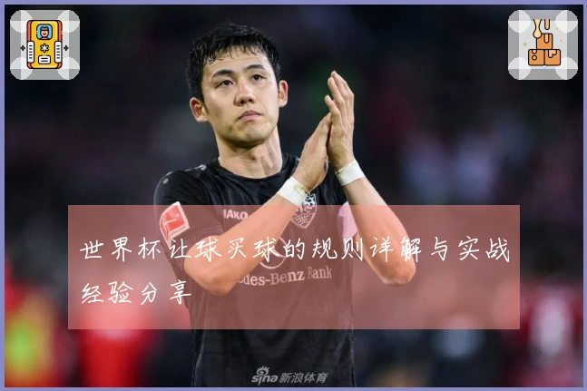 世界杯让球买球的规则详解与实战经验分享