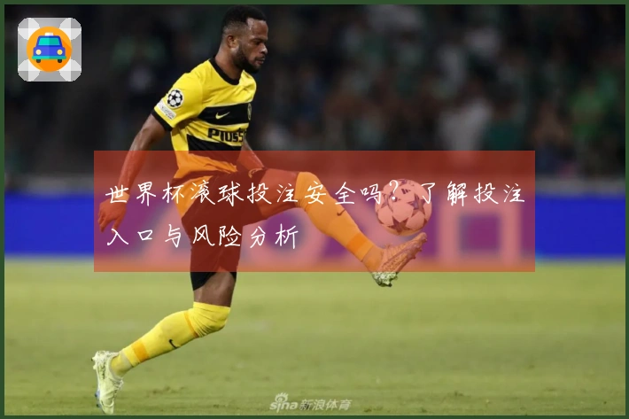 世界杯滚球投注安全吗？了解投注入口与风险分析