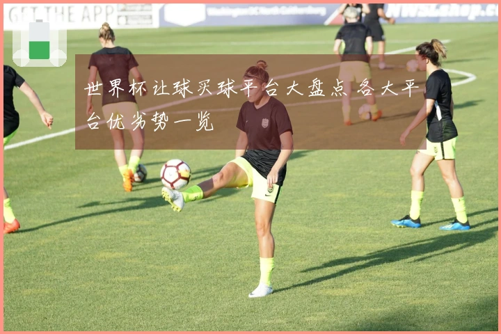 世界杯让球买球平台大盘点 各大平台优劣势一览