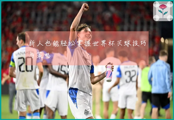 新人也能轻松掌握世界杯买球技巧与策略