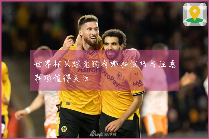 世界杯买球竞猜有哪些技巧与注意事项值得关注