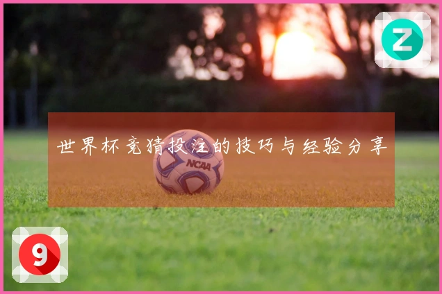世界杯竞猜投注的技巧与经验分享