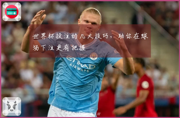 世界杯投注的几大技巧，助你在球场下注更有把握