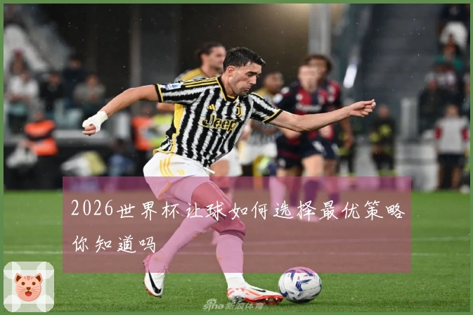 2026世界杯让球如何选择最优策略你知道吗