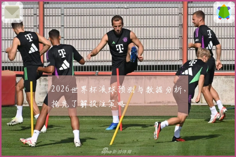 2026世界杯滚球预测与数据分析，抢先了解投注策略