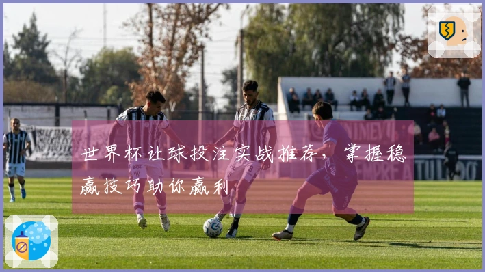 世界杯让球投注实战推荐，掌握稳赢技巧助你赢利