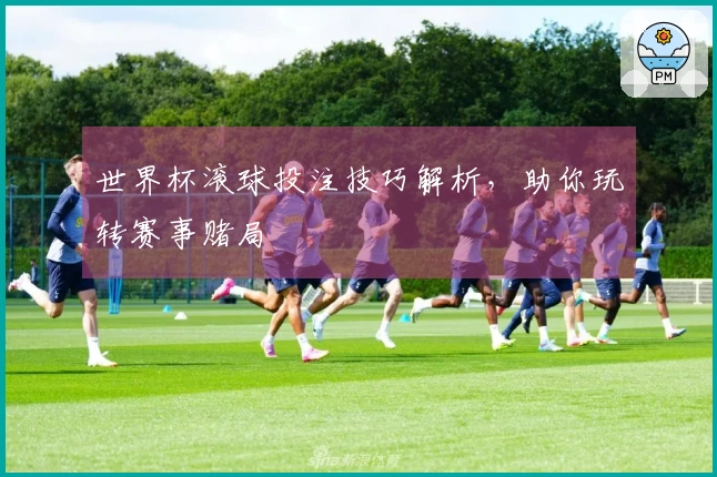 世界杯滚球投注技巧解析，助你玩转赛事赌局
