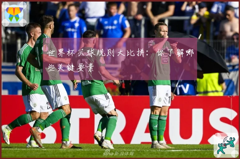 世界杯买球规则大比拼：你了解哪些关键要素