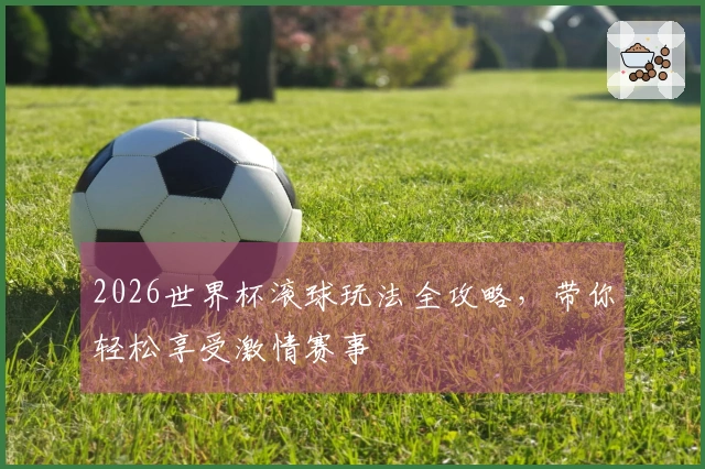 2026世界杯滚球玩法全攻略，带你轻松享受激情赛事