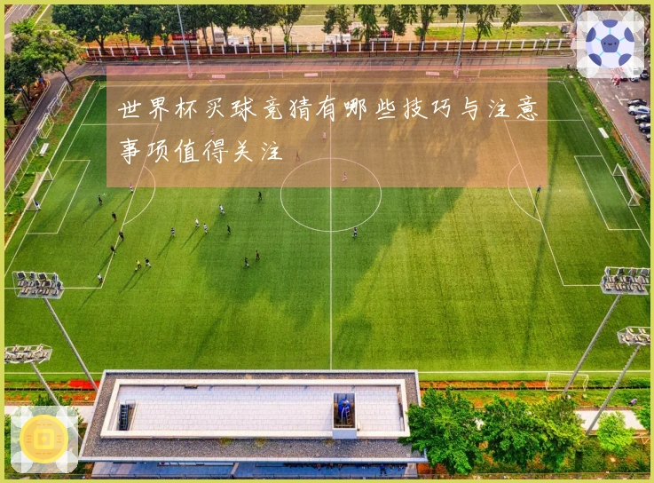 世界杯买球竞猜有哪些技巧与注意事项值得关注