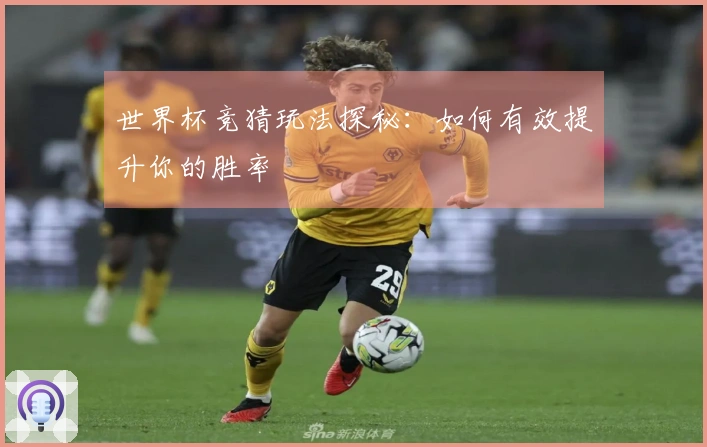 世界杯竞猜玩法探秘：如何有效提升你的胜率